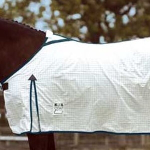 CSG - HORSE BLANKET Thumbnail