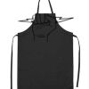 CSG-APRON Thumbnail